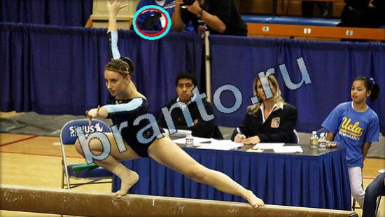 Где же кот ответы на новые задания Уровень 3473