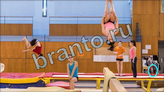 ответы на игру Где же кот Уровень 3474