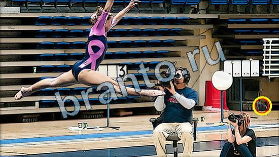 ответы на игру Где же кот Уровень 3476