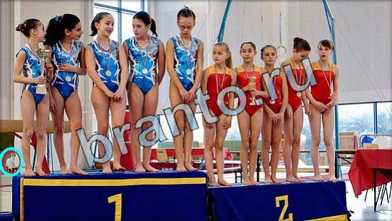 ответы в картинках на игру Где же кот Уровень 3477