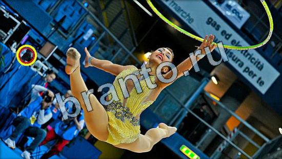 помощь на игру Где же кот Уровень 3478