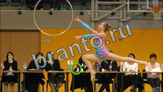 Где же кот игра ответы Уровень 3480