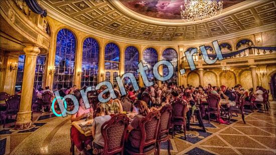 ответы к игре Где же кот Уровень 3485