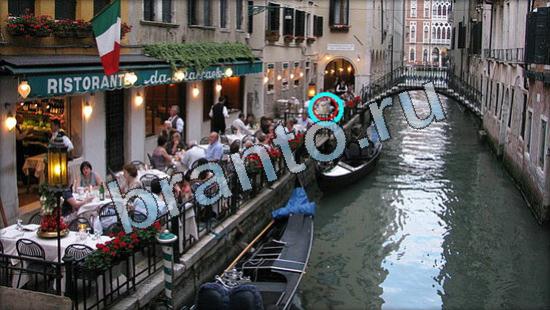 ответы на игру в одноклассниках Где же кот Уровень 3486