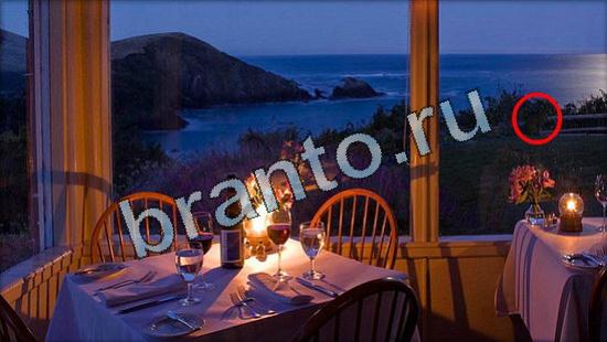 Где же кот игра ответы в одноклассниках Уровень 3487