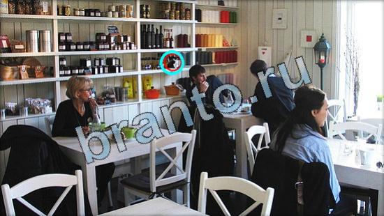 Где же кот? ответы Уровень 3488