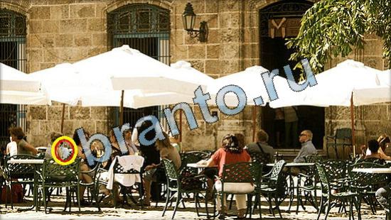 Игра Где же кот ответы Уровень 3497