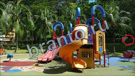 ответы для игры Где же кот Уровень 3507