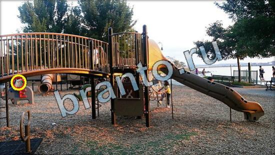 Где же кот ответы на новые задания Уровень 3513