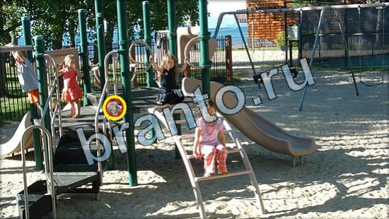 Где же кот ответы в одноклассниках Уровень 3519