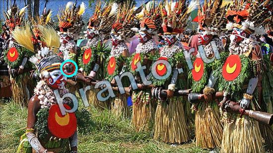 ответы на игру Где же кот Уровень 3561