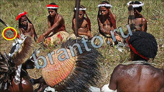 Подсказки на игру Где же кот Уровень 3562