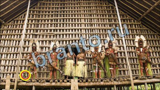 Решения на игру Где же кот Уровень 3563