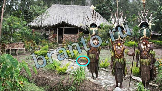 Помощь на игру Где же кот Уровень 3564