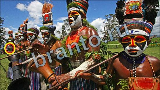 ответы к игре Где же кот Уровень 3565