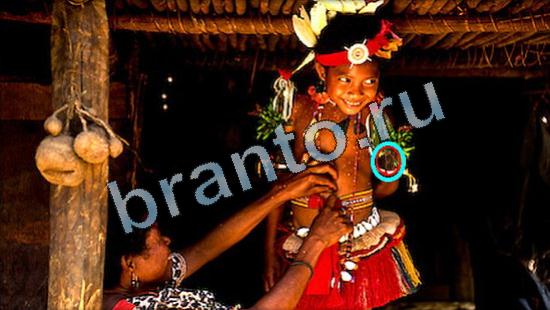 ответы на игру в одноклассниках Где же кот Уровень 3566