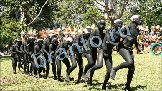 Где же кот игра ответы в одноклассниках Уровень 3567