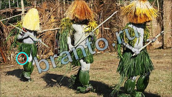 Где же кот? ответы Уровень 3568