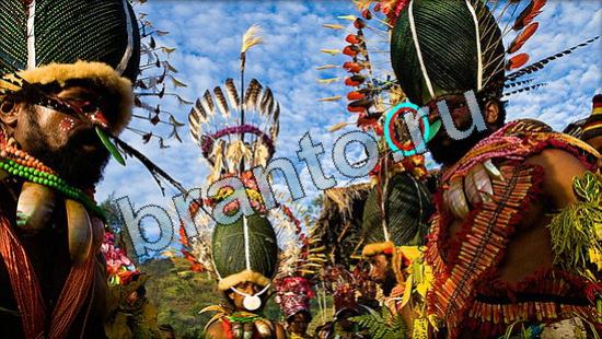 Где же кот? подсказки Уровень 3569