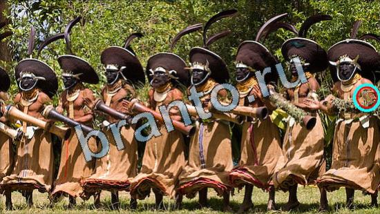 Где же кот? помощь Уровень 3570