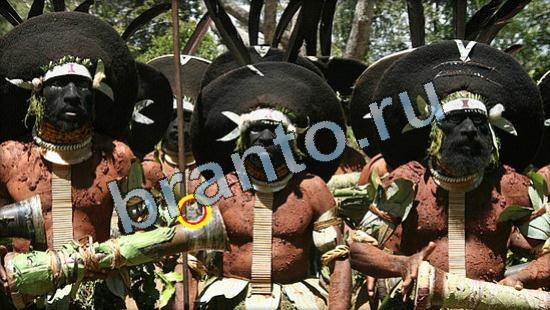 Где же кот? решения Уровень 3572