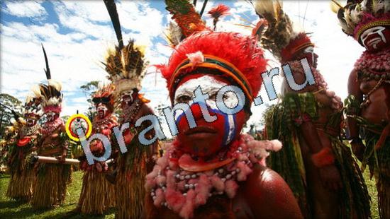 Где же кот игра подсказки Уровень 3574