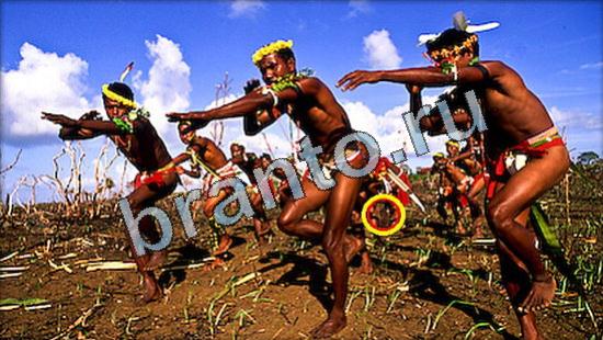 Где же кот игра помощь Уровень 3575