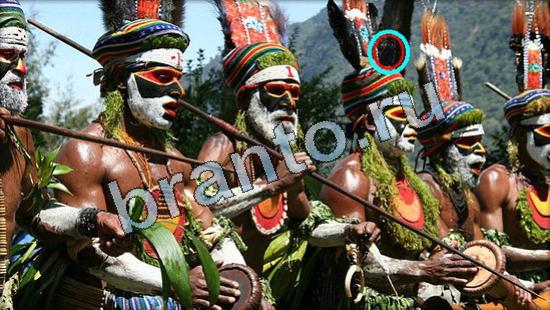 Игра Где же кот подсказки Уровень 3578