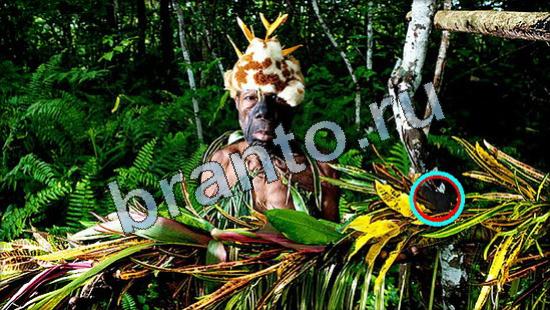 Игра Где же кот прохождение Уровень 3580