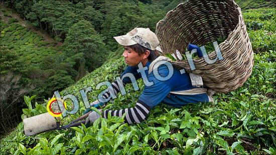 ответы на игру Где же кот в одноклассниках Уровень 3583