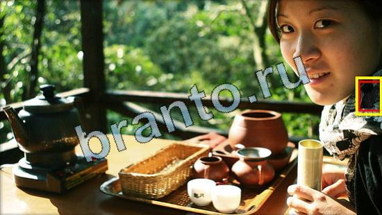 Прохождение игры Где же кот Уровень 3584