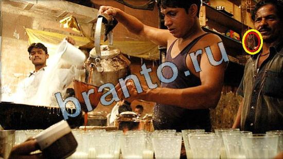 ответы Где же кот Уровень 3585