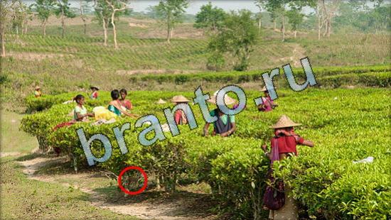 Где же кот игра ответы Уровень 3589