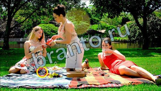 Где же кот помощь в картинках Уровень 3591