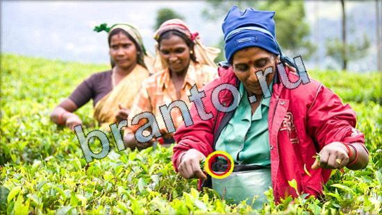 ответы на игру Где же кот в скриншотах Уровень 3592