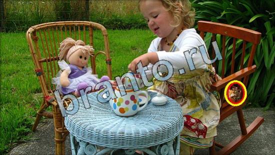 ответы на игру Где же кот Уровень 3594