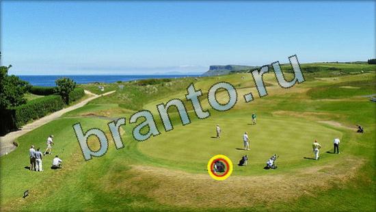 ответы на игру Где же кот Уровень 3601