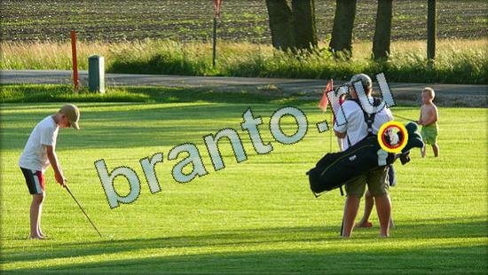 Решения на игру Где же кот Уровень 3603