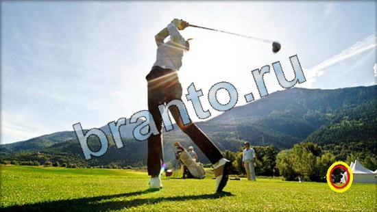 Помощь на игру Где же кот Уровень 3604