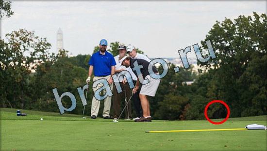 ответы к игре Где же кот Уровень 3605