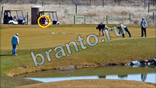 Где же кот? ответы Уровень 3608