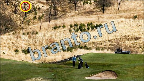 Где же кот? подсказки Уровень 3609