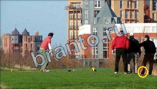 Где же кот? помощь Уровень 3610