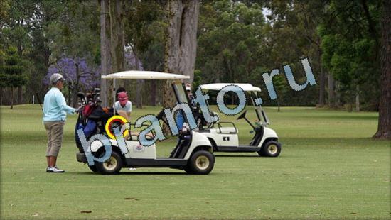 решебник на игру Где же кот Уровень 3611