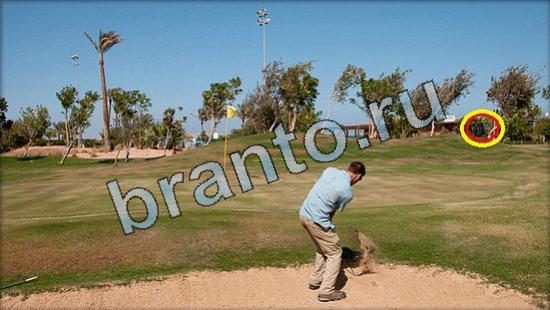 Где же кот игра подсказки Уровень 3614