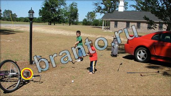 Где же кот ответы в картинках Уровень 3616