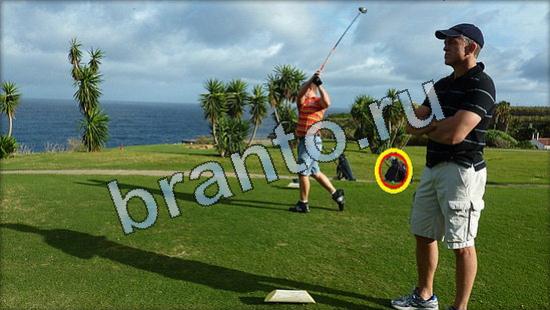 Игра Где же кот подсказки Уровень 3618