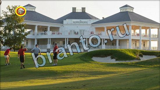 игра Где же кот помощь Уровень 3619