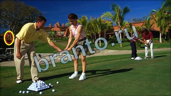 Игра Где же кот прохождение Уровень 3620