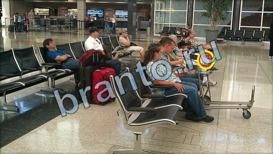 Где же кот прохождение игры Уровень 3622